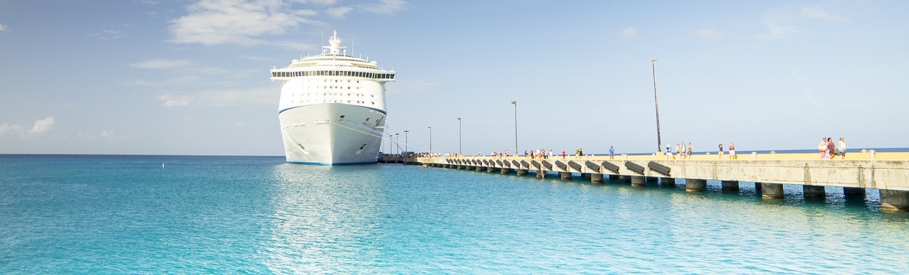 NZ Cruise Booking